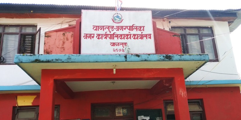 कुकुर पाल्न अनिवार्य दर्ता गर्नुपर्ने